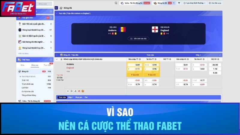 Vì sao nên tham gia cá cược thể thao tại Fabet?